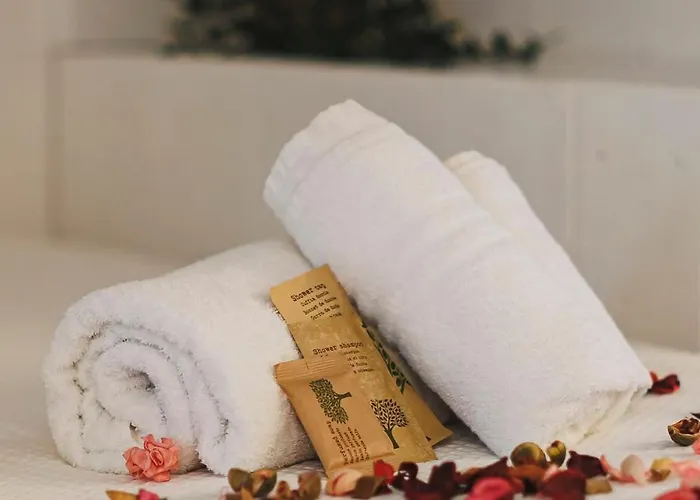 Terrace In Town - Centro Apartment *